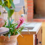 Bed & Breakfast Il Piccolo Giardino & Breakfast Villasimius