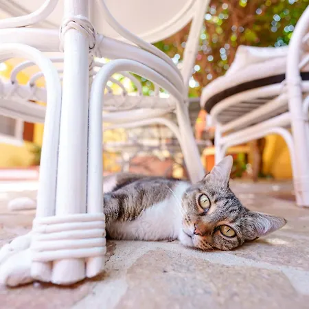 فندق مبيت وإفطار Il Piccolo Giardino & Breakfast