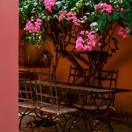 B&B Il Piccolo Giardino & Breakfast 빌라시미우스