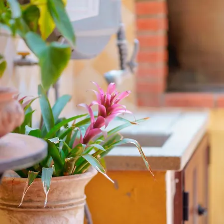 B&B Il Piccolo Giardino & Breakfast 빌라시미우스