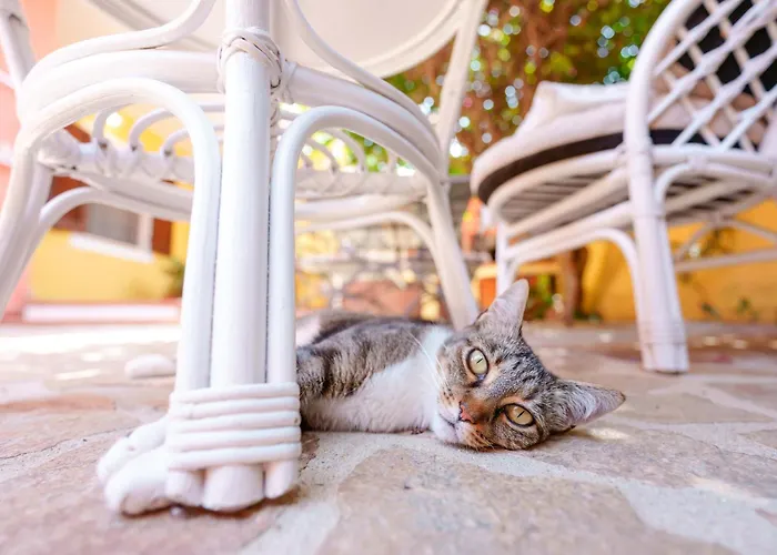 فندق مبيت وإفطار Il Piccolo Giardino & Breakfast