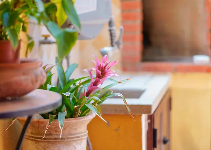 Bed and breakfast Il Piccolo Giardino & Breakfast Villasimius